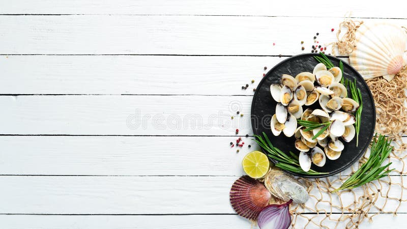 Boiled clams in a plate. Seafood on a white background. Boiled clams in a plate. Seafood on a white background