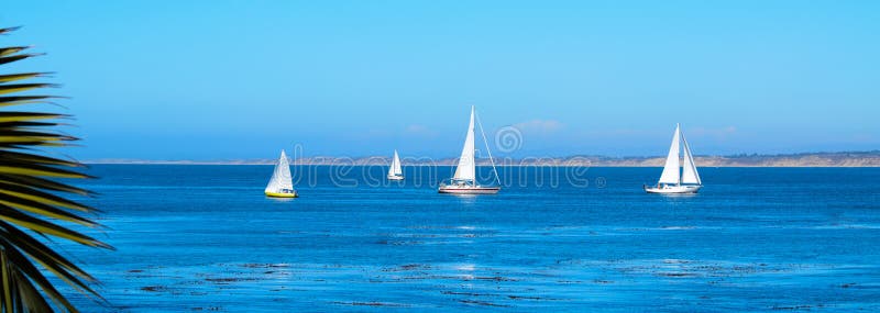 Veleiros na baía de Monterey imagens de stock royalty free Veleiros na baía de Monterey imagens de stock royalty free