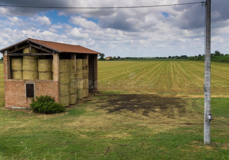 Velho celeiro num campo verde foto de stock royalty free