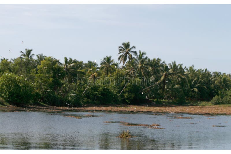 Veli Lake in Kerala, India