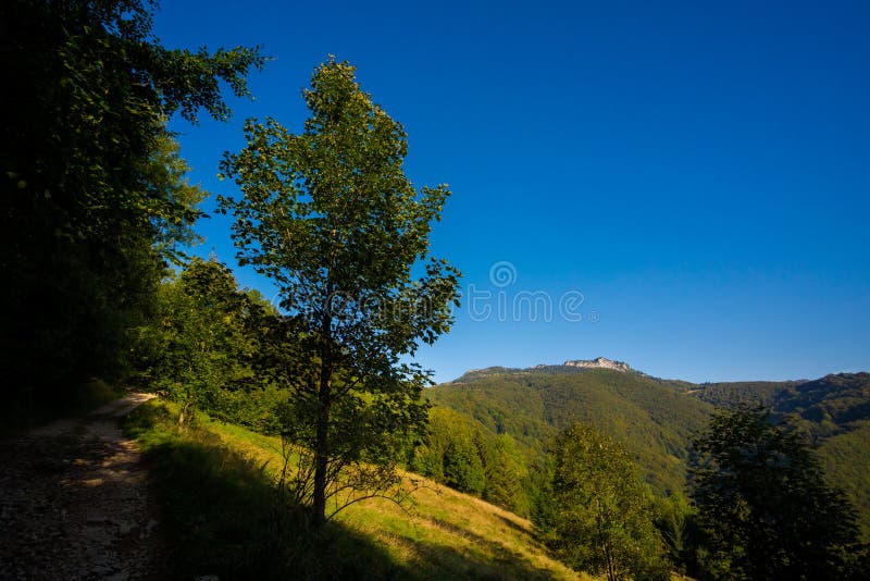 Veľká Fatra Borišovské vrchy krajina