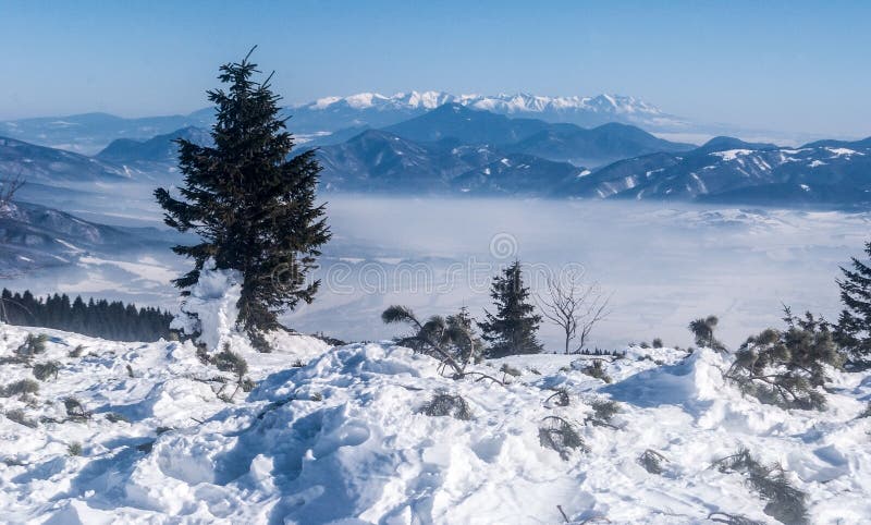 Velka luka hill in Mala Fatra mountains with Tatras mountains in Slovakia during winter