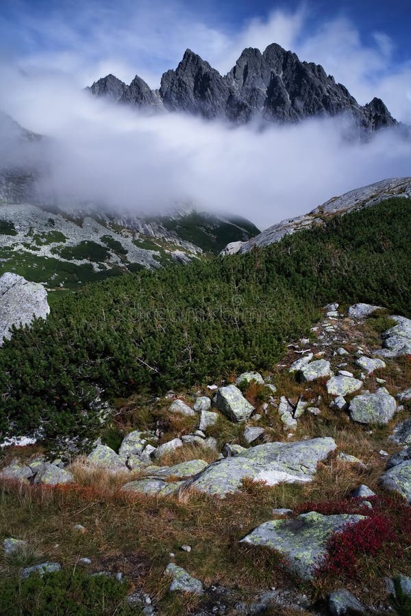 Veľká Studená dolina, Vysoké Tatry, Slovensko: kolienka je súčasťou turistického chodníka pri výstupe na Zbojnícku chatu