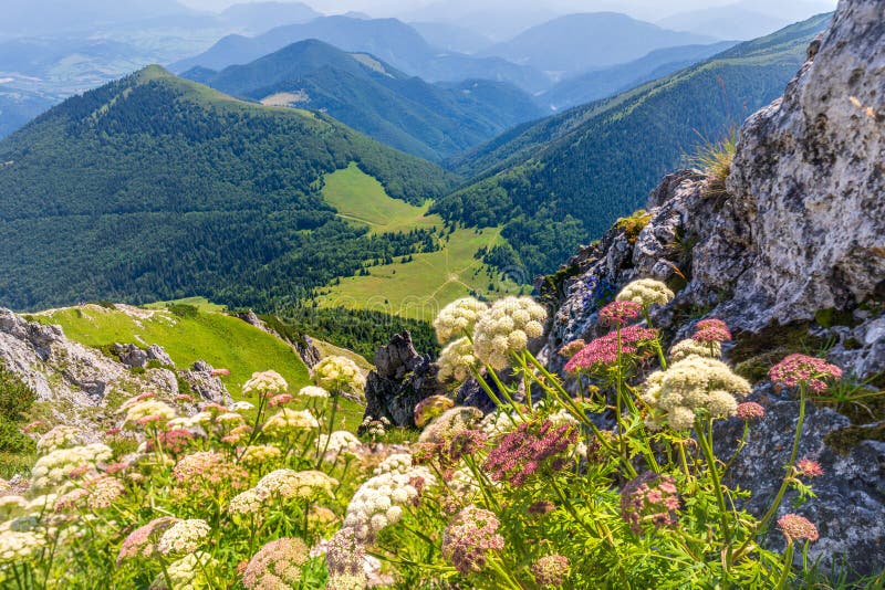 Veľký Rozsutec, Malá Fatra, Slovensko