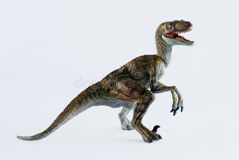 Velociraptor Dinosaur, photos  information - Velociraptor Gallery