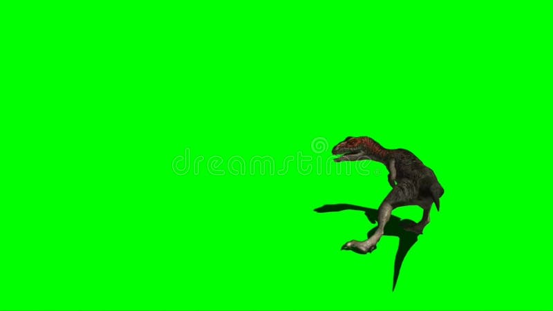 Dinossauro Andando Na Tela Verde Filme - Vídeo de lagarto, rugido