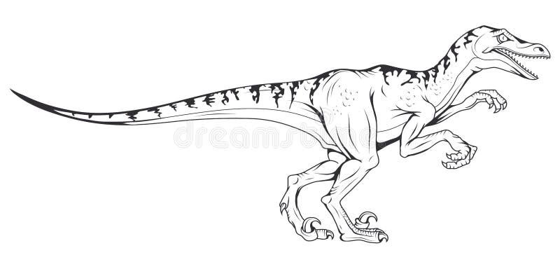 Velociraptor vector dinosaur