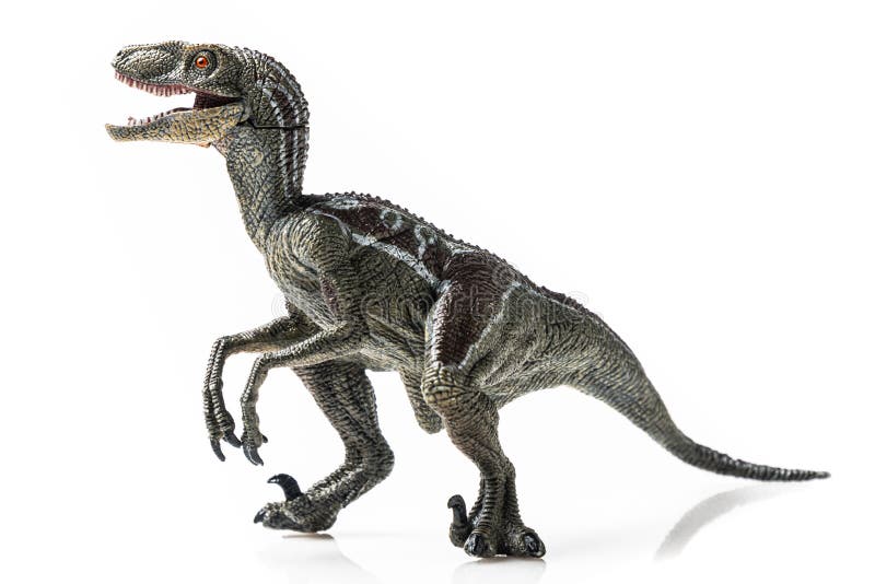 40+ Velociraptor Run Stock Photos, Pictures & Royalty-Free Images - iStock