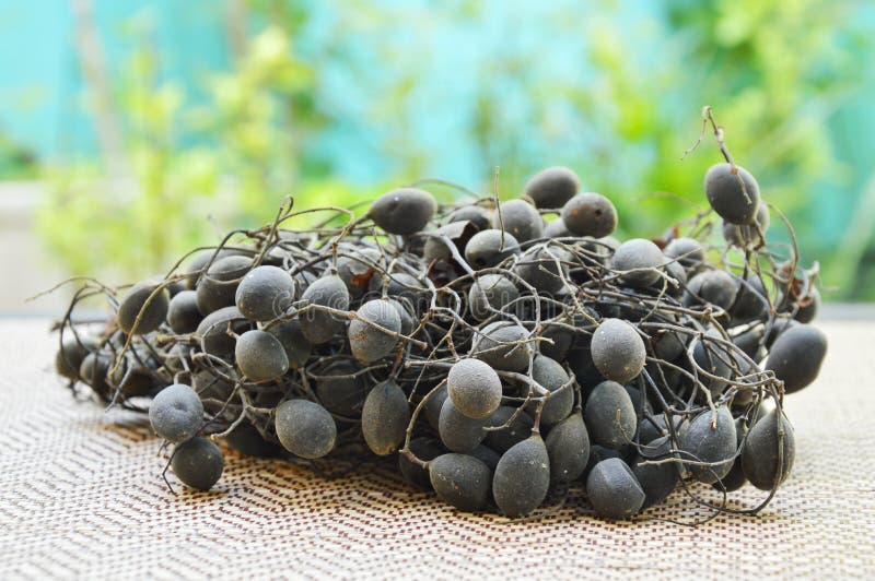 Velvet Tamarind Tropical Fruit on Bamboo Mat Stock Photo Image of