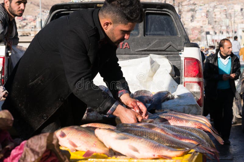 Vendedor de peixe no Iraque fotografia de stock