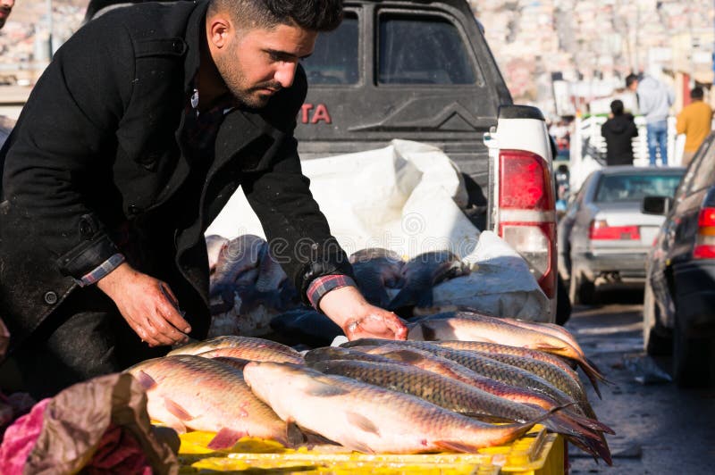 Vendedor de peixe no Iraque fotos de stock