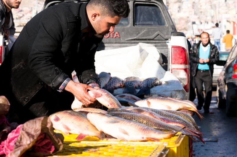 Vendedor de peixe no Iraque imagens de stock