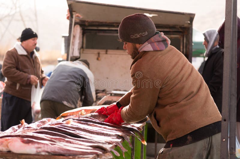 Vendedor dos peixes em Iraque foto de stock royalty free
