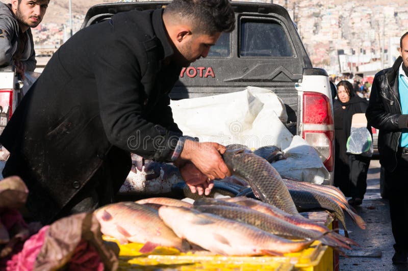 Vendedor dos peixes em Iraque imagens de stock