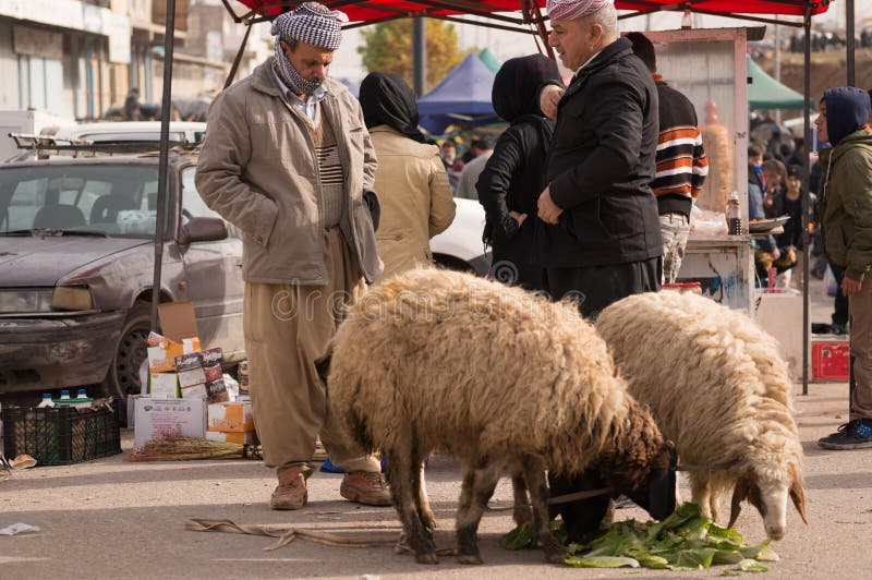 Vendedor de ovelhas iraquiano fotografia de stock royalty free