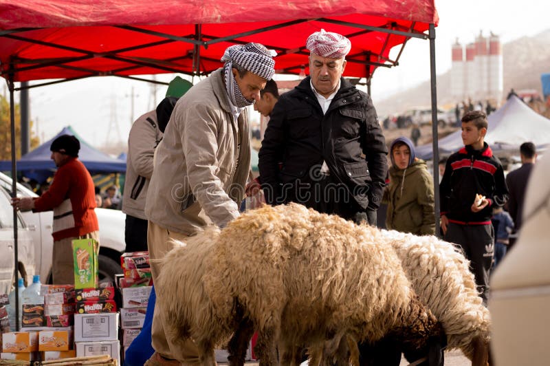 Vendedor de ovelhas iraquiano imagens de stock royalty free