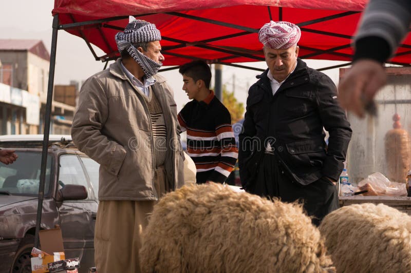 Vendedor iraquiano dos carneiros imagens de stock