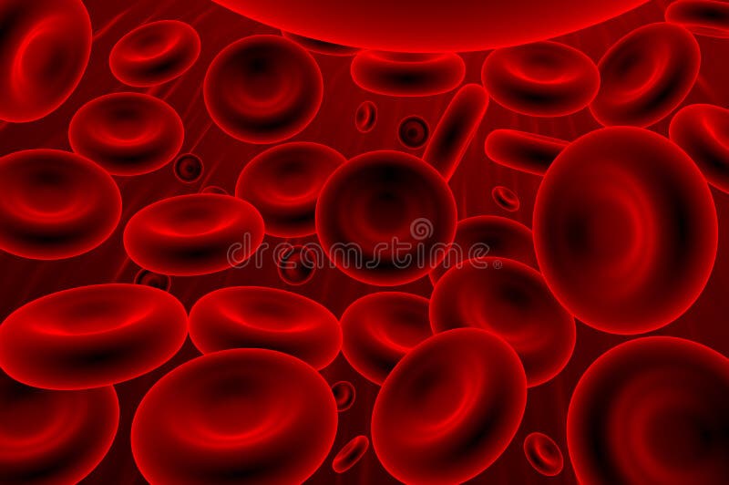 3D rendered illustration of blood sells. 3D rendered illustration of blood sells