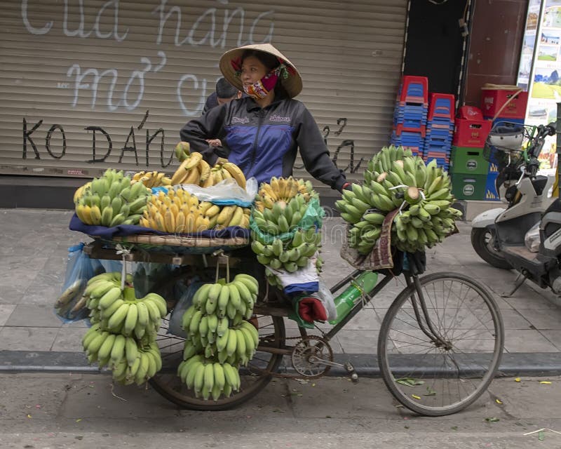 Pictured is a Vietnamese street vendor with a bicycle loaded with bananas for sale in Hanoi. They start each day around 4am selling their wares, earning just enough to survive. Hanoi is Vietnam`s capital, and the second largest by population. In 2015 the population was 7.7 million. To the right is a motorcycle parked on the sidewalk. Motorbikes remain the most popular means of transportation in Vietnam, which has a population of around 92 million people and 45 million registered motorbikes. Pictured is a Vietnamese street vendor with a bicycle loaded with bananas for sale in Hanoi. They start each day around 4am selling their wares, earning just enough to survive. Hanoi is Vietnam`s capital, and the second largest by population. In 2015 the population was 7.7 million. To the right is a motorcycle parked on the sidewalk. Motorbikes remain the most popular means of transportation in Vietnam, which has a population of around 92 million people and 45 million registered motorbikes.