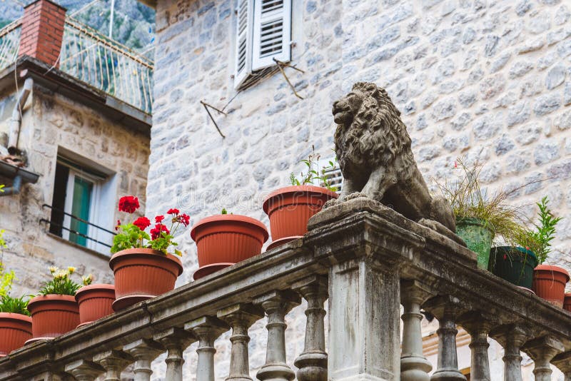 Venetiaans Lion Statue in Kotor stock foto's Venetiaans Lion Statue in Kotor stock foto's