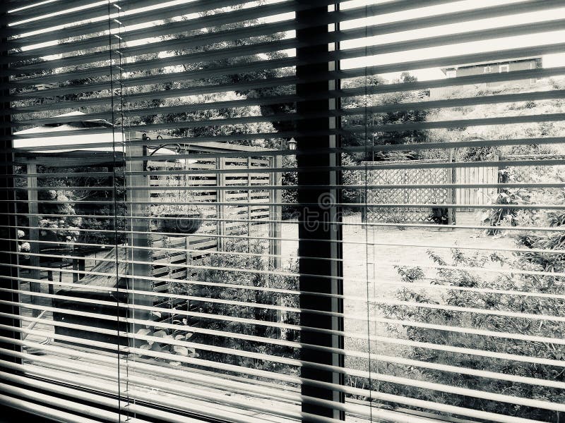 Looking through Venetian Blinds into the Garden stock images Looking through Venetian Blinds into the Garden stock images