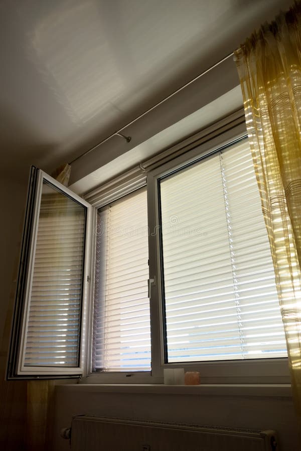 Venetian blinds for shade at the window