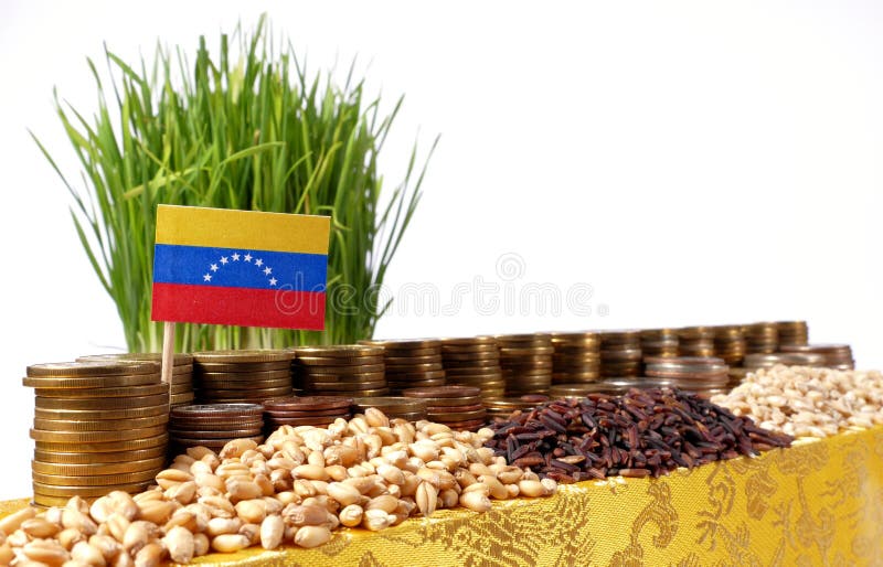 Venezuela flag waving with stack of money coins and piles of wheat