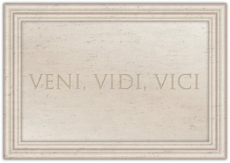 Latin quote Veni, vidi, vici on stone background, 3d