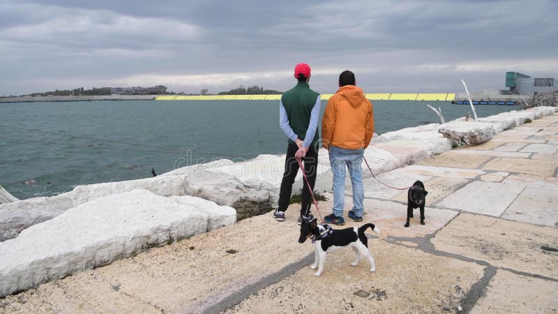 Venise, Italie- barrières d'inondation déployées pour éviter les inondations banque de vidéos
