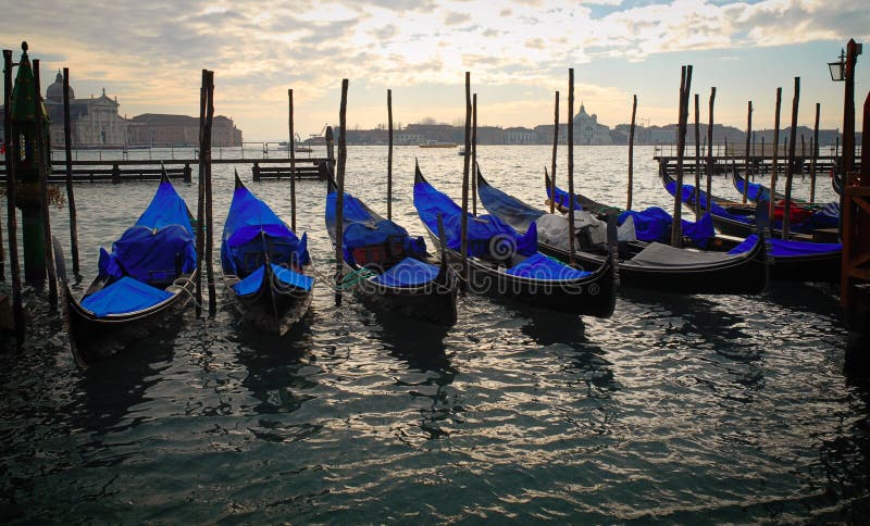 Moored gondolas in St.Mark basin at sunset. Moored gondolas in St.Mark basin at sunset