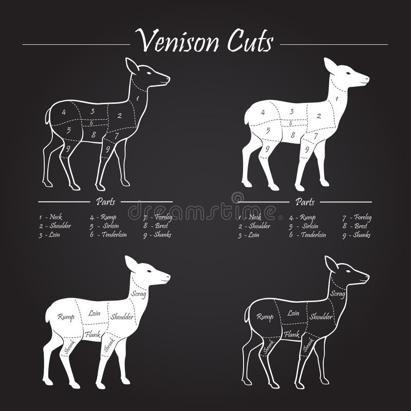 Venison meat cut diagram scheme - blackboard