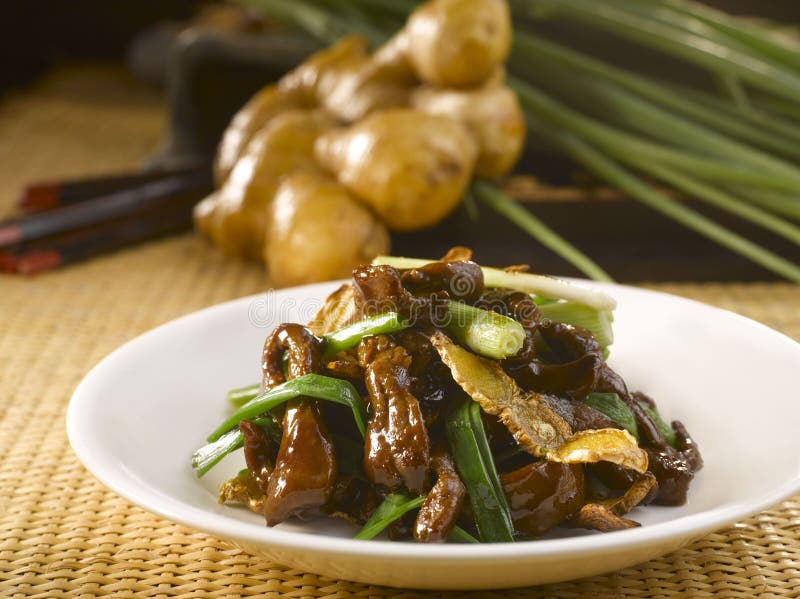 Venison with Spring Onion and Ginger Served in a Dish Isolated on Table