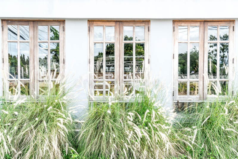 Vensterpatroon met grasbloem stock afbeelding