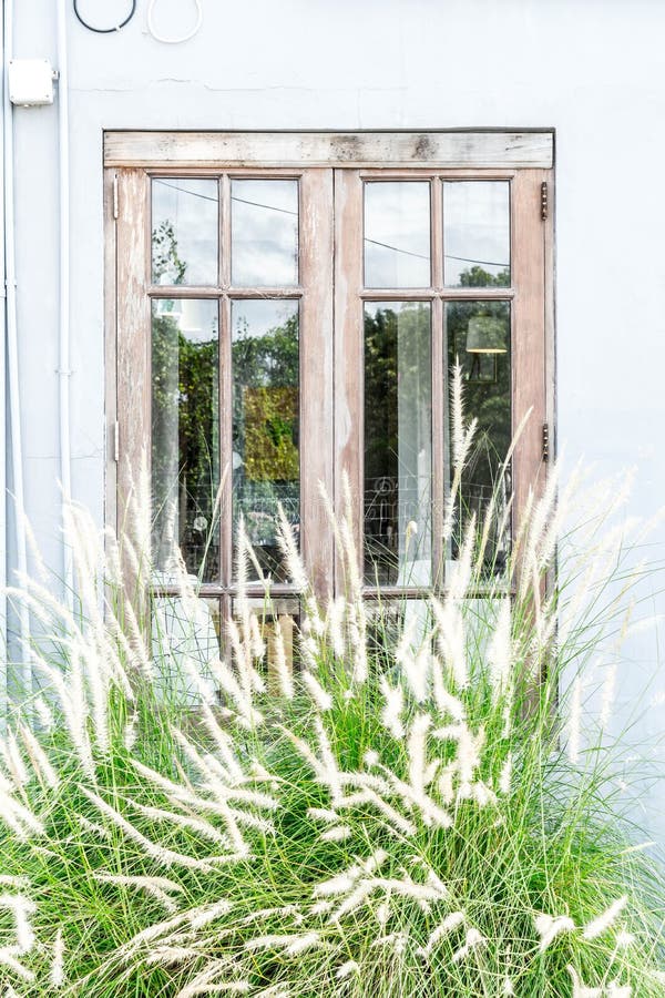 Vensterpatroon met grasbloem royalty-vrije stock foto