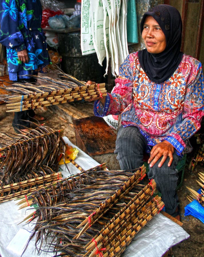 Venta de las anguilas en Padang, Indonesia fotografía de archivo libre de regalías Venta de las anguilas en Padang, Indonesia fotografía de archivo libre de regalías