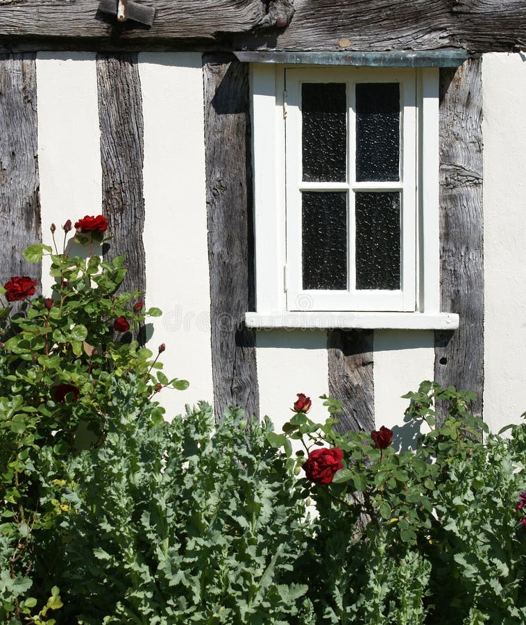 038 Ventana Imagen Window color imagen para ventana flor rosa rosenranke 