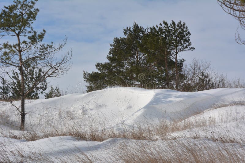 Ventisca De Invierno Con Viento Y Nieve Imagen de archivo Imagen de