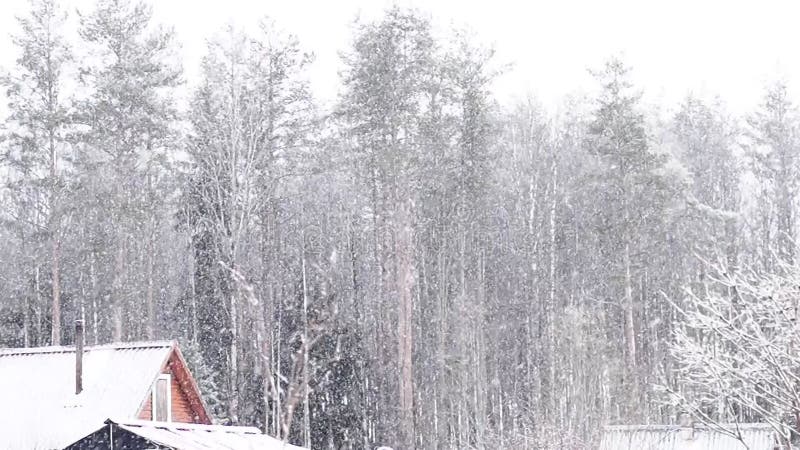 Ventisca pesada. copos de nieve voladores. la nieve está cayendo. temporada de invierno