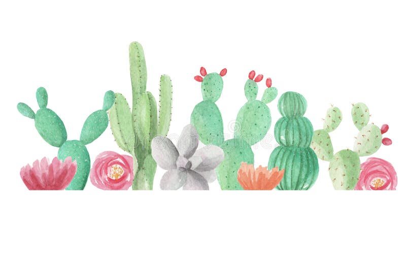 Cactus Coloring Page - Desenho De Cacto Preto E Branco - Free Transparent  PNG Clipart Images Download