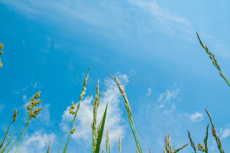 Papel de parede : luz solar, Árvores, panorama, floresta, Anime, lago,  natureza, reflexão, céu, Sword Art Online, atmosfera, Parque Nacional,  região selvagem, Alpes, Banco, Montar cenário, Lago crater, tundra, reserva  natural, Glacial