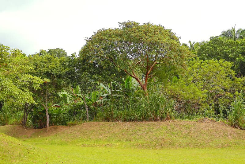 Veracruz Landscape I Stock Photos Free & RoyaltyFree Stock Photos