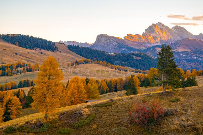 Verbazend de herfstlandschap van Alpe Di Siusi bij zonsopgang, Dolomietalpen, Italië