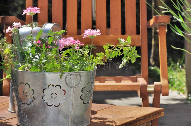 Verbena pot on a terrace