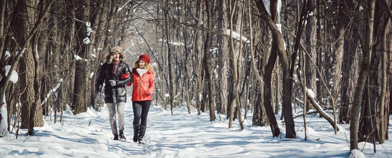 Verbinden Sie Haben eines Winterwegs an einem kühlen kalten Tag im Wald