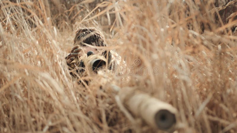 Verborgen sluipschutter in droog gras die op het perfecte moment wacht voor een precisienadering