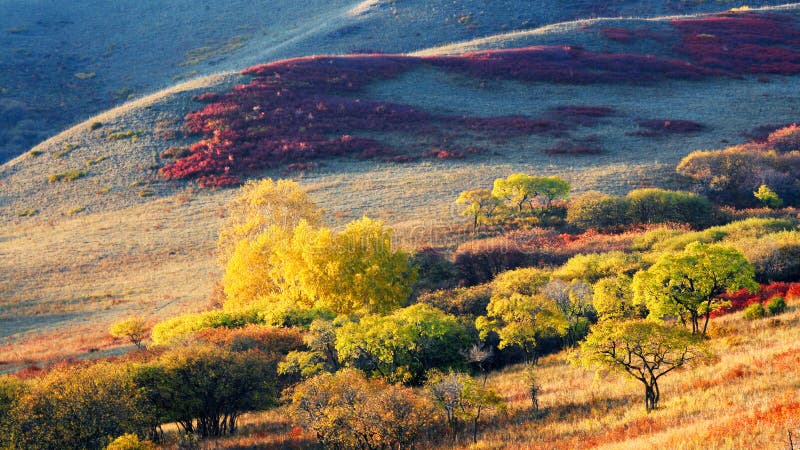 Verdammungs-Herbst in Innere Mongolei stockfoto Verdammungs-Herbst in Innere Mongolei stockfoto