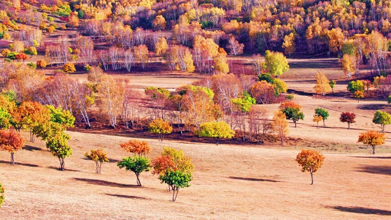 Verdammungs-Herbst in Innere Mongolei stockfotografie Verdammungs-Herbst in Innere Mongolei stockfotografie