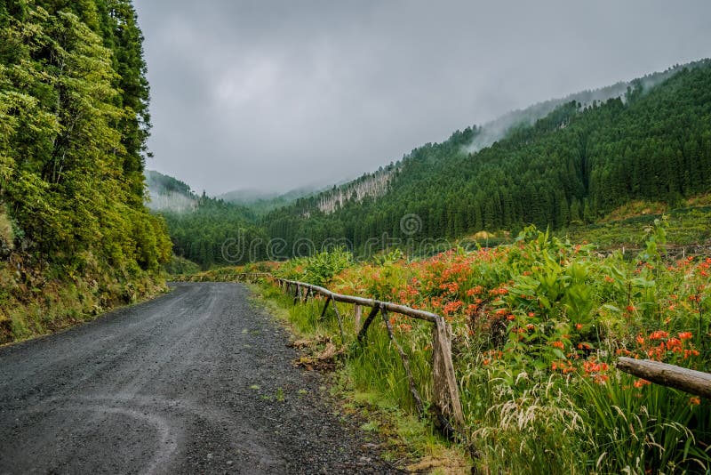 Pico Da Vara Azores Stock Photos - Free & Royalty-Free Stock Photos from  Dreamstime