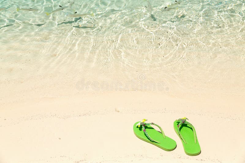 Verde do concept†tropical das férias o” flip-flops em um oceano arenoso seja fotos de stock Verde do concept†tropical das férias o” flip-flops em um oceano arenoso seja fotos de stock