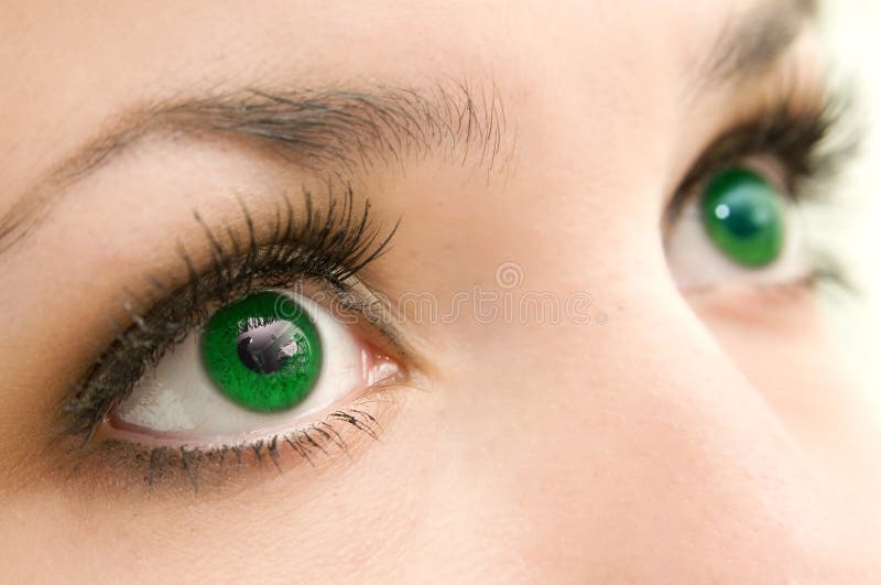 Olhos verdes imagem de stock